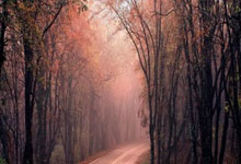 有哪些股票交易软件:能股票开户的app-中央汇金扫货路线图：大举增持ETF 1.28万亿规模创新高